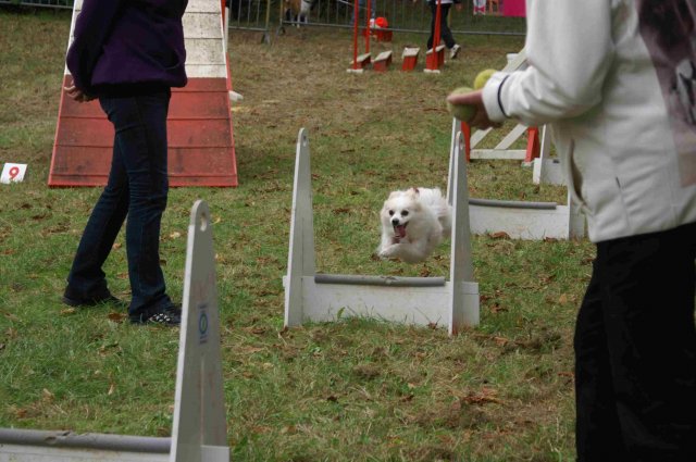 foire-haricots 2011-09-17et18
